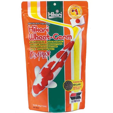 Hikari Wheat-Germ Mini 500 gram