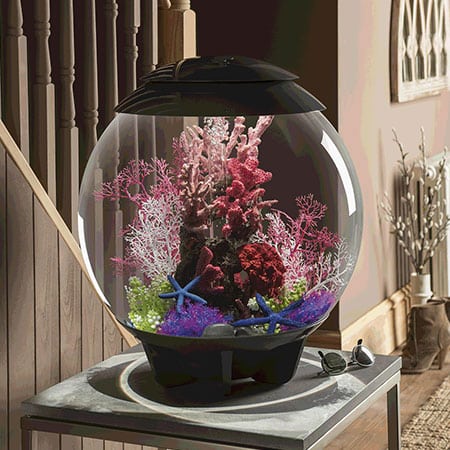 Aquarium_inrichten_vijverwinkel_com