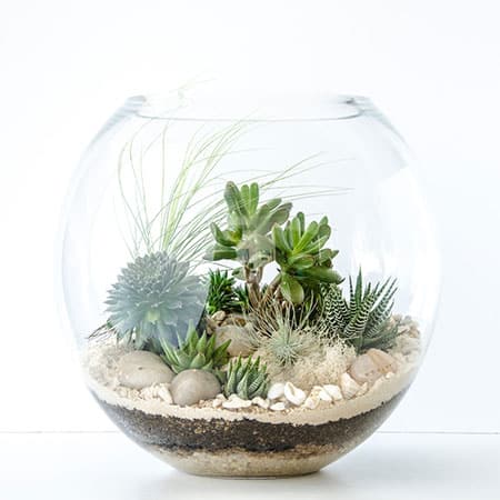 Terrarium-artikelen