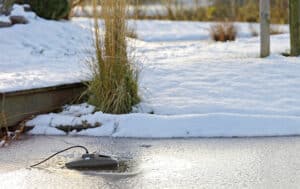 Blog – Vijververwarming