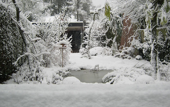 Wintertips voor de vijver