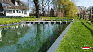 Zwemvijver project 1