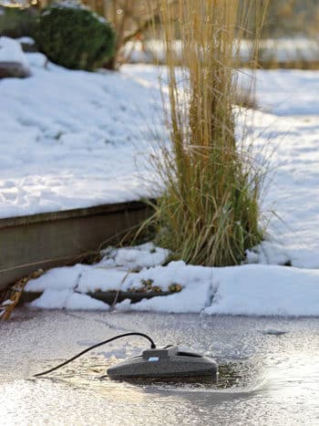 Hoe maak ik mijn vijver winter klaar?!