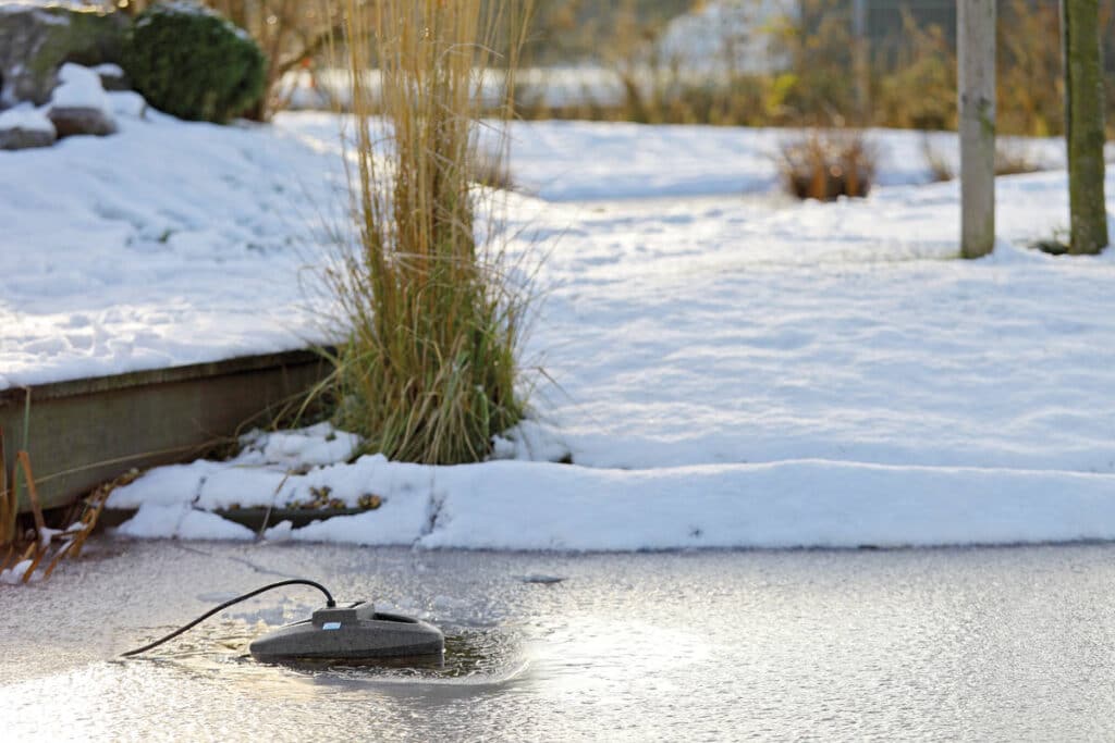 Vijver na de winter