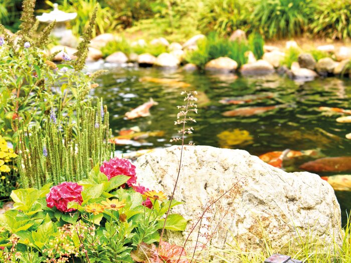 Oase AquaMax Eco Classic 2500E voor kleine vijvers