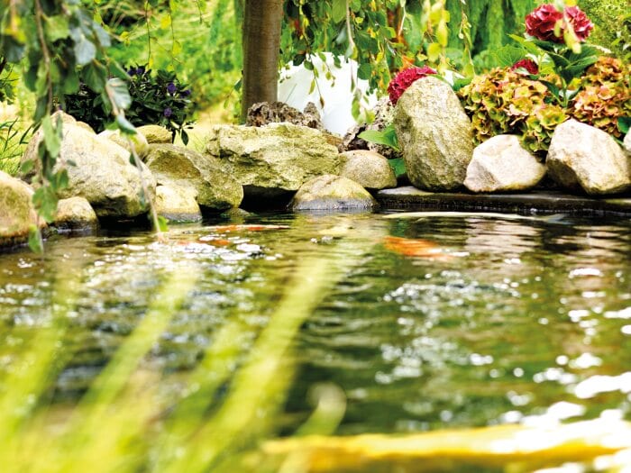 Oase AquaMax Eco Classic 2500e specificaties