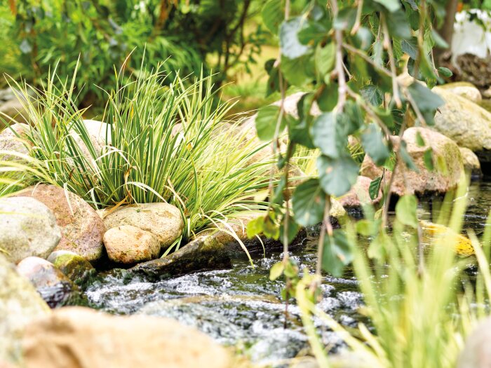 Vijver met Oase AquaMax Eco Classic 2500E