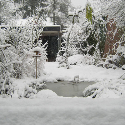 Wintertips voor de vijver